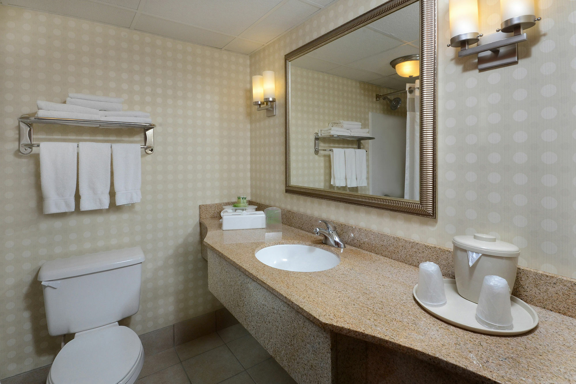 Holiday Inn Express Hotel & Suites Greensboro - Airport Area By Ihg Εξωτερικό φωτογραφία
